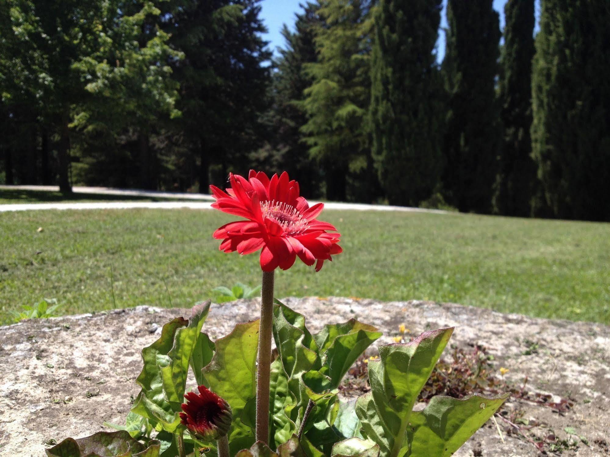 Convento Di San Francesco Mondaino Bed & Breakfast Exterior foto